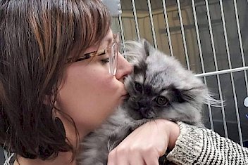 Woman kissing cat